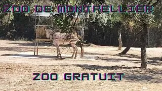 Miniature : Sortie au zoo de Montpellier