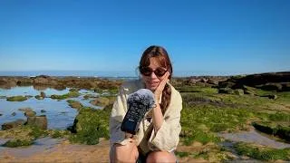Miniature : ASMR à la mer 🌊  bruit des vagues, tracing du paysage, sous l'eau...