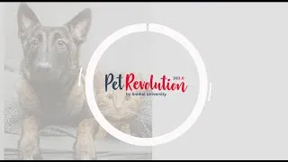 Miniature : TEASER PET REVOLUTION, Animal University