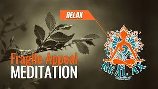 Miniature : Fragile Appeal | Minimalist Chamber Soundtrack | Meditation & Relaxation