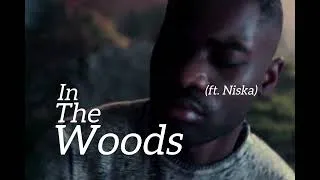 Miniature : Dave ft. Niska - In The Woods (Visualizer)