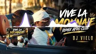 Miniature : Dj Vielo X Vive La Monnaie (Mauvais Djo, Gims) Remix Afro Club