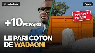 Miniature : Coton : le pari à 7 milliards de Wadagni pour le Bénin