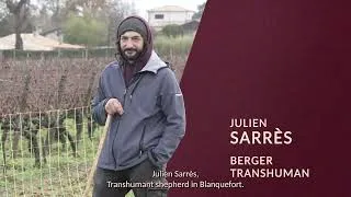 Miniature : Une transition écologique en viticulture