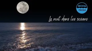 Miniature : La nuit dans les océans...