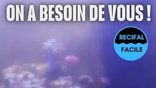Miniature : Ce bac n'est pas comme les autres !