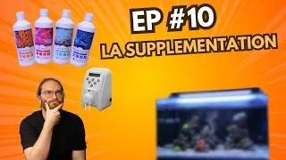 Miniature : Démarrer mon premier bac récifal [EP#10] : la supplémentation