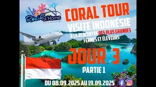 Miniature : Jour 3 en Indonésie - Partie 1 "Plongée sous les tables" ! 🌴🤿