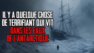 Miniature : Il y a quelque chose de terrifiant qui vit dans les eaux de l'Antarctique. / Creepypasta