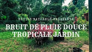Miniature : Bruit de Pluie Modérée le Matin au Jardin – Bruit Blanc Naturel pour Relaxation, Méditation Sommeil
