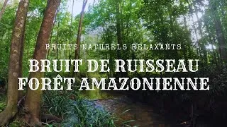 Miniature : Bruit Eau de Ruisseau Fin d’Après-Midi, Eau qui coule, Détente, Méditation Sommeil, Bruit Blanc