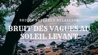 Miniature : 🌊 Bruit des Vagues sur Rochers Marée Descendante, Amazonie Lever du Jour Bruit Blanc Relaxer Dormir🌅