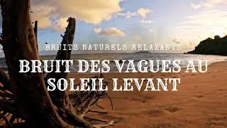 Miniature : Bruit de Vagues Vrai Soleil Levant Marée Montante Lune Gibbeuse🌖Amazonie Relaxer Dormir Bruit Blanc