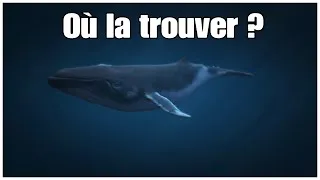 Miniature : COMMENT TROUVER LA BALEINE SUR GTA V (mode histoire)