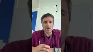 Miniature : Témoignage Dr CUQ Clinique Vétérinaire de Coutras
