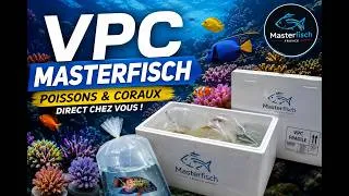 Miniature : COMMANDE RECIFALE CHEZ MASTERFISCH : BONNE OU MAUVAISE IDEE