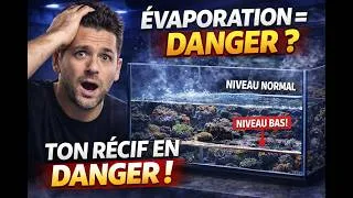 Miniature : COMMENT SÉCURISER SON D EAU EN RÉCIFAL