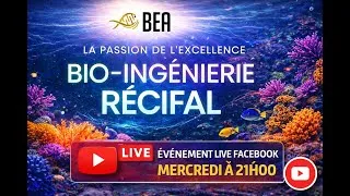 Miniature : TON BAC VA MAL? On en parle avec BEA