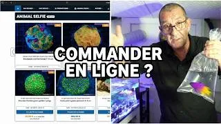 Miniature : Unboxing Masterfish : Commander ses poissons en ligne !