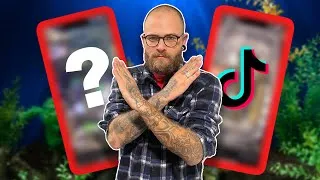 Miniature : RÉACTION RÉCIFAL SUR TIKTOK