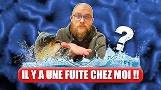 Miniature : VLOG RÉCIFAL IL Y A UNE FUITE CHEZ MOI !!