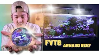 Miniature : Plongée Privée : Visite d'un Aquarium Impressionnant chez un Expert! / Fais Voir Ton Bac Arnaud Reef