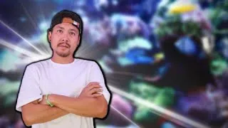 Miniature : FAIS VOIR TON BAC: Costaa Dorada (@ReefAndFun )