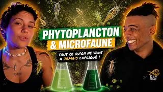 Miniature : Phytoplancton & Microfaune : tout ce qu'on ne vous a jamais expliqué !