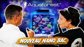 Miniature : Les nouveautés AQUAFOREST à INTERZOO… et certaines vont te surprendre !