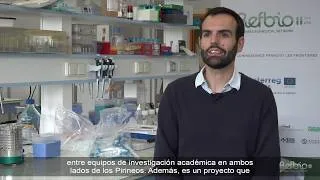 Miniature : REFBIO II - Resumen / Résumé - CHU Toulouse - VINCENT JOUANOLOU