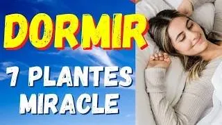 Miniature : MIEUX DORMIR : 7 Plantes Médicinales MIRACLE à Essayer d'Urgence !