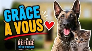 Miniature : LIVE au refuge ❤️ Nouveaux aménagements, animaux, bénévolat…