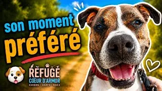 Miniature : On a découvert son moment préféré… 🐶❤️