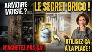 Miniature : Je n’ai plus jamais eu d’odeur de moisi dans mon placard après ça !