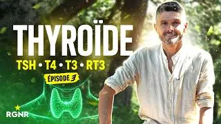 Miniature : La Thyroïde: TSH, T4, T3, rT3 | Hormones #3