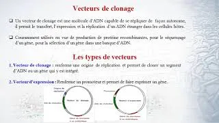 Miniature : Présentation d'un cours de clonage moléculaire