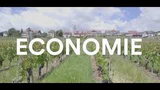 Miniature : 20 ans d'idées communes - Capsule Economie