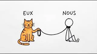 Miniature : Comment les humains ont accidentellement créé les chats