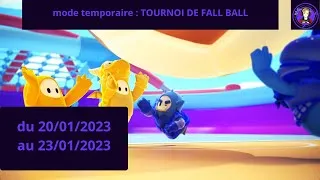 Miniature : mode temporaire : TOURNOI DE FALL BALL du 20 au 23 janvier