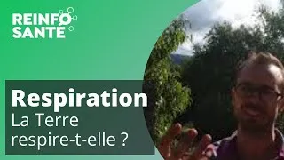 Miniature : La culture sur sol vivant ! [Reportage avec Vidéo Rudy Terreno]