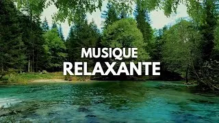 Miniature : Relaxation, Musique Douce et sons de la nature, Détendez-vous - la Guitare et le Piano