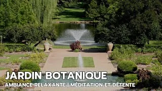 Miniature : Sons d’un Jardin Botanique avec Fontaine | Ambiance Relaxante & Apaisante pour Méditation et Détente