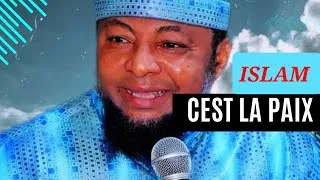 Miniature : Dr Abdoul Madjid : ISLAM C'EST LA PAIX