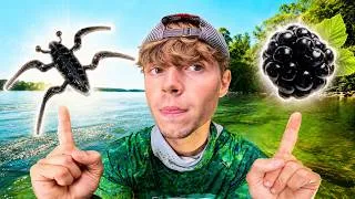 Miniature : LEURRE vs FRUIT : Qui attrapera LE PLUS de poisson ?? (Chevesne à vue)