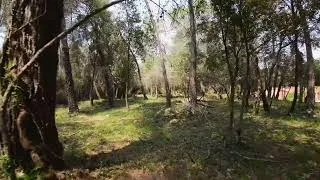 Miniature : First Fly With Drone
