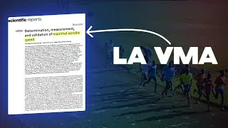 Miniature : Quelques reflexions sur la Vitesse Maximale Aérobie (VMA)...