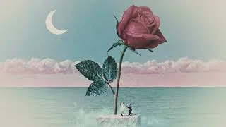 Miniature : Tove Lo - des fleurs x stromae (French Radio Edit)