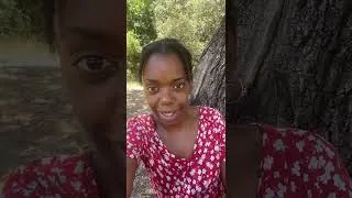 Miniature : Reddif Live tiktok Conseils été france conseil beauté canicule et beauté Beauté inclusive #skincare