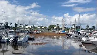 Miniature : Une journée dans notre vie en Guadeloupe 🌴 | Famille expatriée