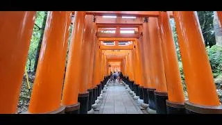 Miniature : A walk through Senbon Torii & Fushimi Inari Bamboo Forest #kyoto #hiking #japon